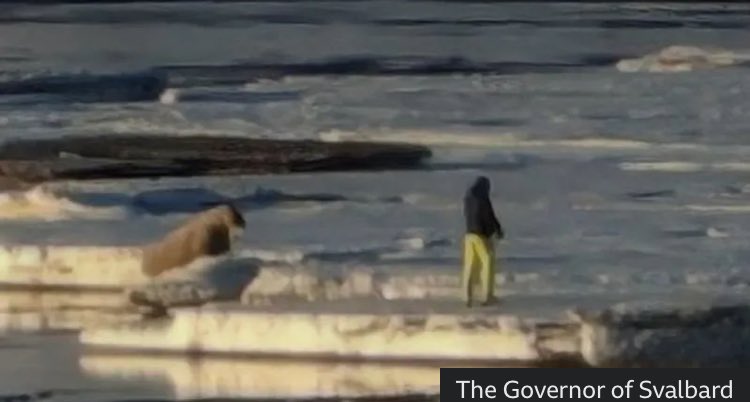 “A tourist visiting the Norwegian Arctic archipelago of Svalbard has been fined more than £900 for getting too close to a walrus. Why did he do it? He was after a good picture, the police prosecutor believes.” Just right. Nature is not a Disney film. bbc.com/news/world-eur…