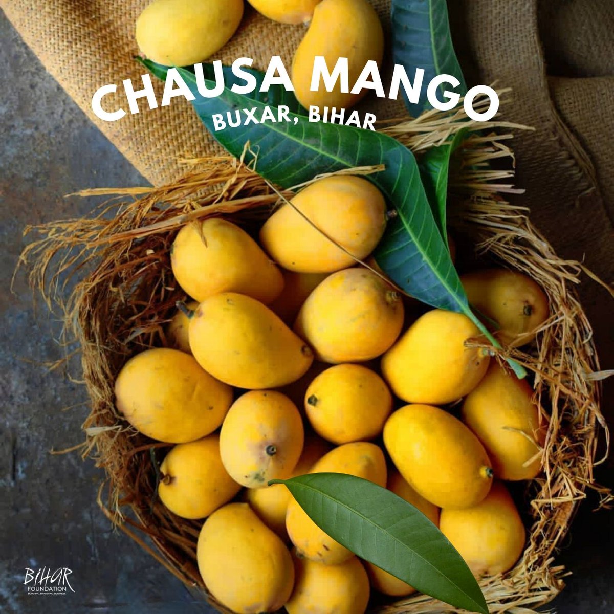 Beyond its historical significance as the site of a battle between Mughal emperor Humayun and #Bihar-born Afghan ruler Sher Shah Suri, Chausa in #Buxar district, Bihar, boasts another treasure: the #Chausa #mango. This delightful fruit, named after the town itself, was…