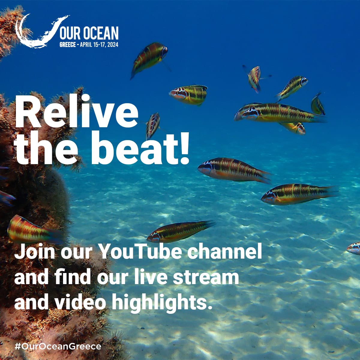 Don't miss out on the action! Rewatch the livestream and video highlights from the 9th Our Ocean Conference on the Our Ocean Youtube channel 🌊🎥

youtube.com/@OurOceanGreece 

 #OurOceanGreece #Athens🇬🇷 #Leadership #OurOcean2024
