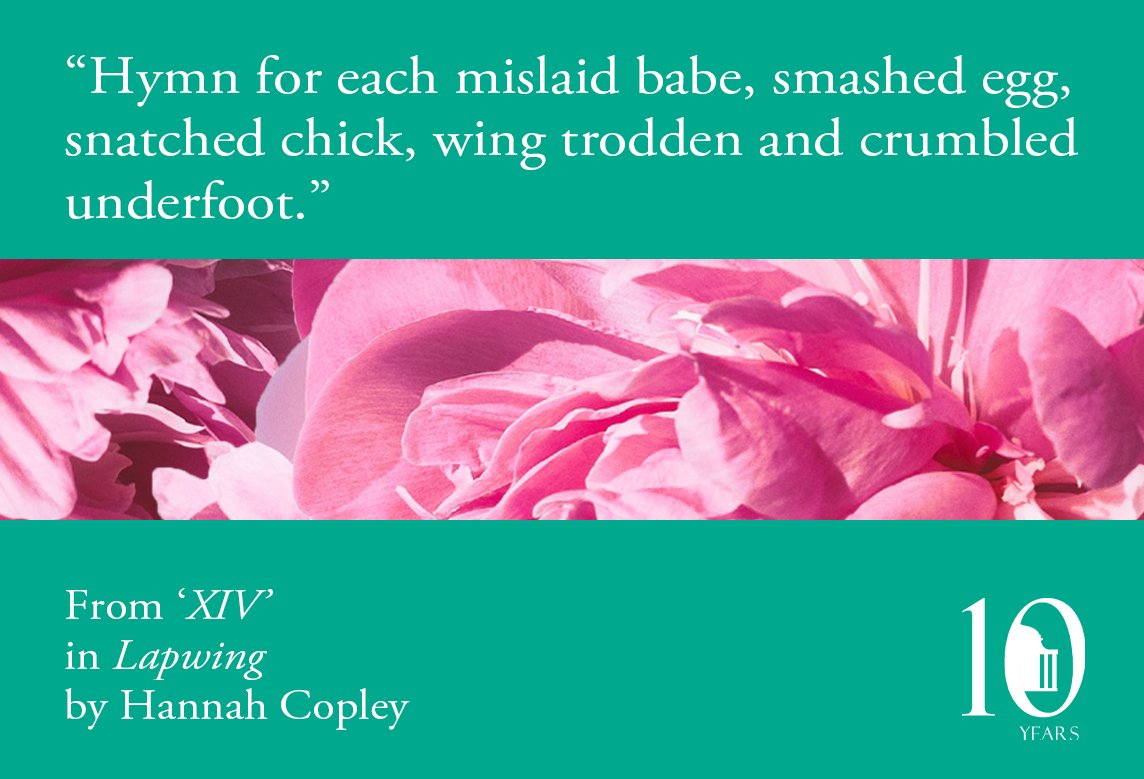 Available now: Lapwing by Hannah Copley @HCopley, a bold and exacting collection exploring restlessness, addiction, and ecological and personal grief. Lapwing is a @PoetryBookSoc Summer Recommendation for 2024. bit.ly/lapwinghc #newpoetry