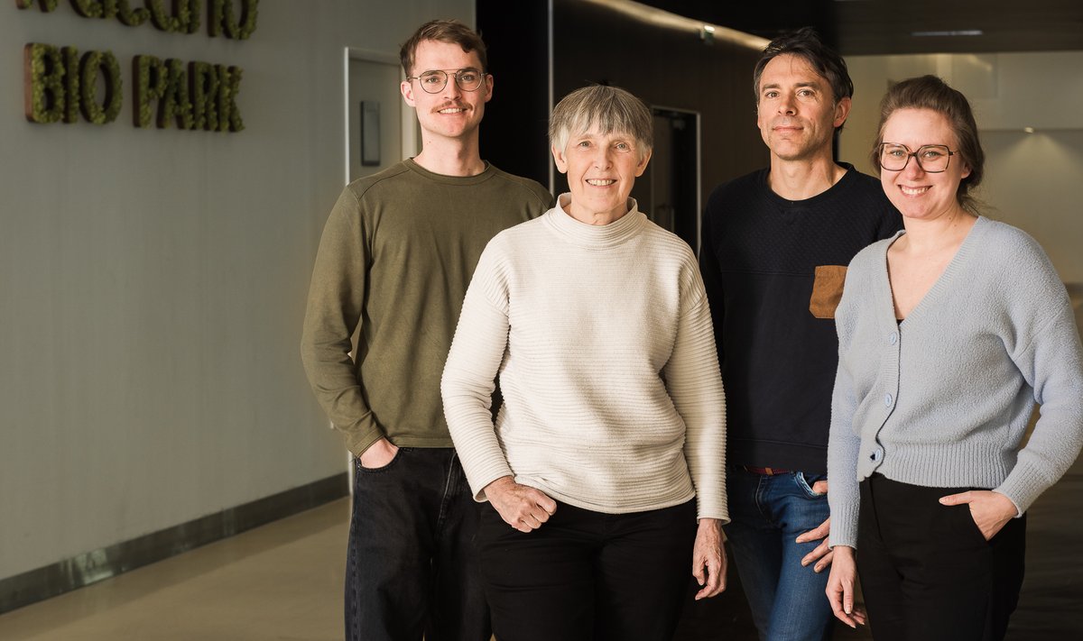 new picture of the INNOVERDA team!