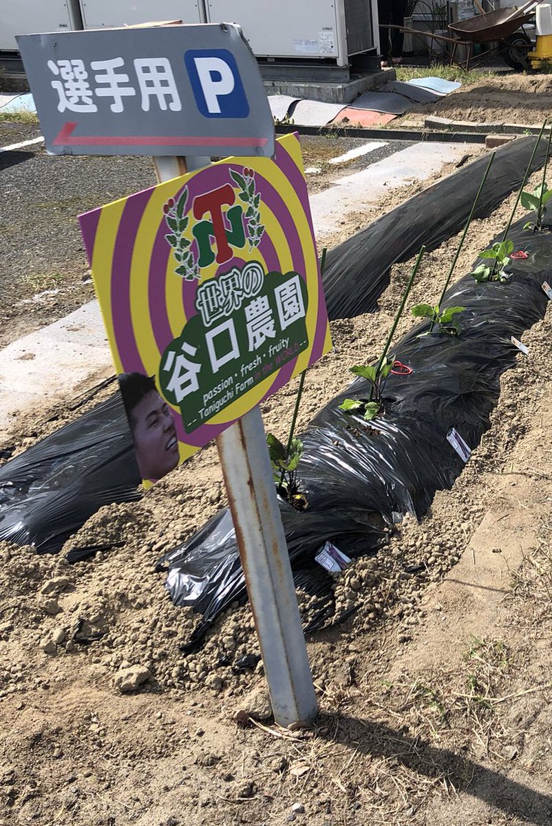 あれ？谷口農園の看板、
『世界の』って😮😮😆😁