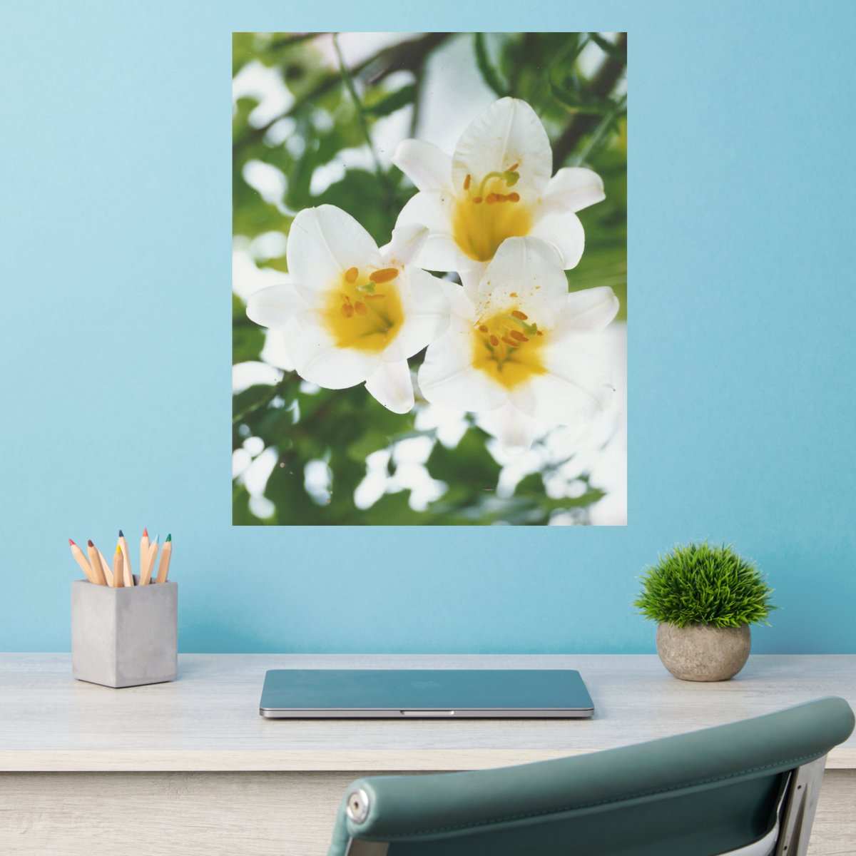 White lilies - Symbol of love Wall Decal zazzle.com/white_lilies_s…
Classic film photography from Minolta Vintage 35mm Camera. #whitelilyflowers