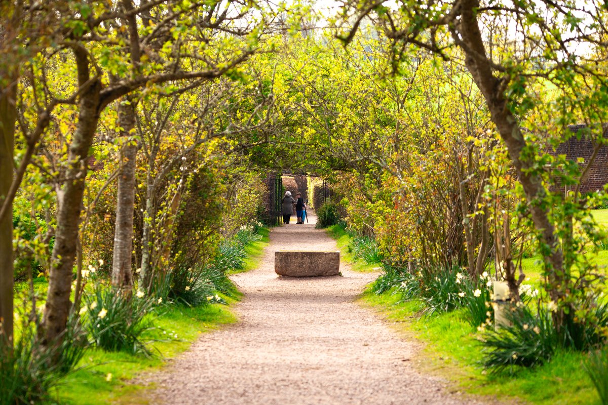 Engaging with nature is a powerful conduit for well-being, a gentle yet impactful antidote to the bustle of daily life. The soft rustle of leaves and the symphony of birdsong will put a smile on your face & set your week on the right track 😌 📸 Ollie Toop #wildwooddevon