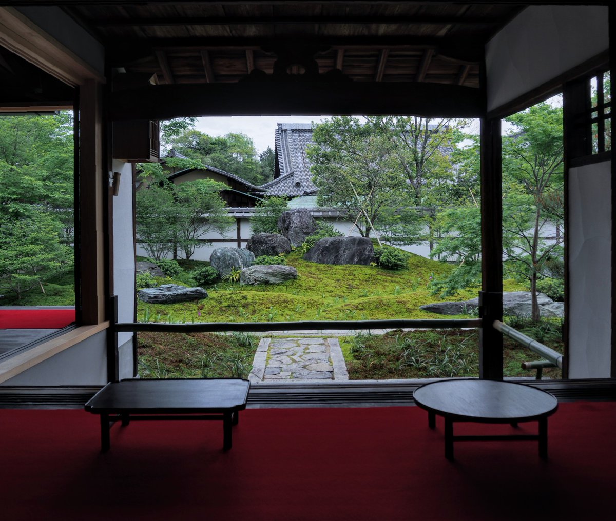 建仁寺塔頭　西来院　　　 禅僧・蘭渓道隆ゆかりのお寺 3.23〜特別公開中です✨ 期間限定でブルーボトルコーヒートラックが境内に出店中☕ 前回より緑鮮やかな庭園を眺めながら穏やかな時間を過ごせました😊🍀 （3.29拝観済） 4.29📸 #京都 #ファインダー越しの私の世界ᅠ