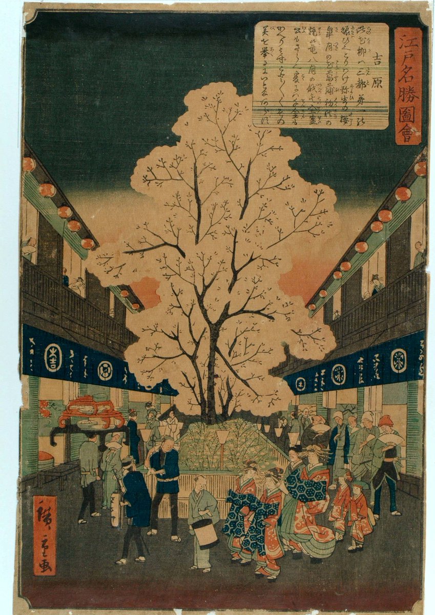 Famous Places in Edo. Yoshiwara. A large cherry-tree in blossom in bamboo-fenced bed, down centre of street lined with restaurants and Yoshiwara houses Woodblock print by Hiroshige, Utagawa II (歌川広重). Creator: Fujikei. #Spring #CherryBlossom #Art #MaidstoneMuseum