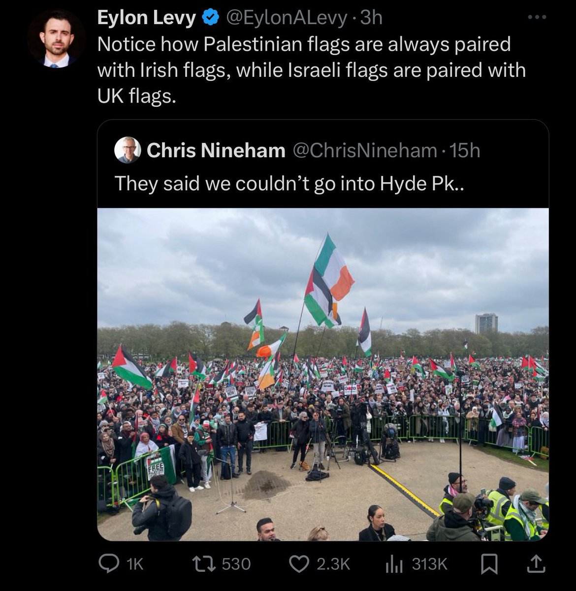 The gift that keeps on giving 🤣 His next missive will be ‘notice how Palestinian flags are carried by those black/brown people, while Israeli flags are carried by white far right extremists’ 👀