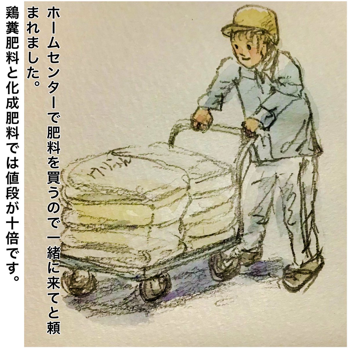 He asked me to come with him to buy fertilizer at the home improvement store.
Organic fertilizer (chicken manure) is ten times more expensive than chemical fertilizer.

#Picturediary 
#絵日記