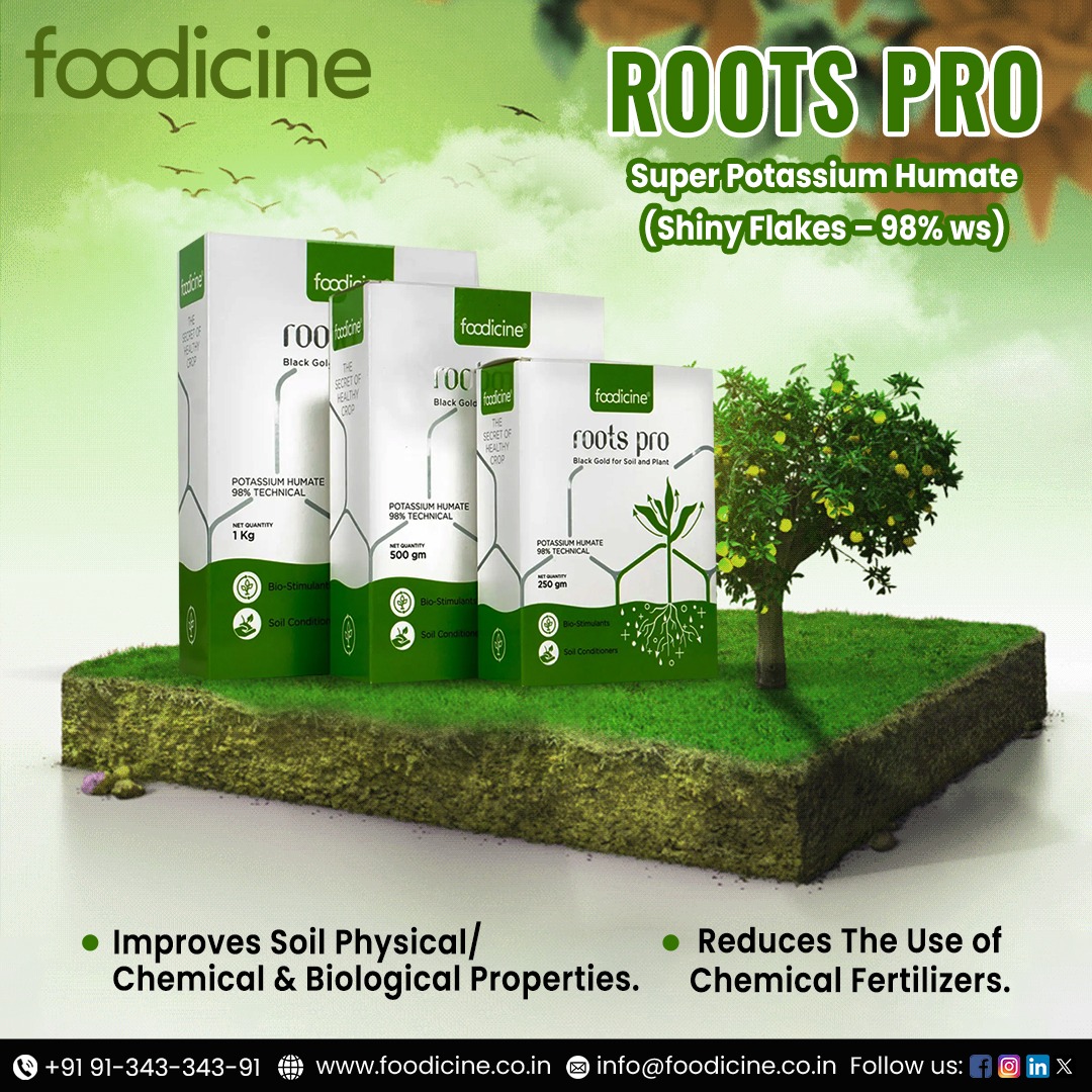 💥  Elevate your soil game with ROOTS PRO Super Potassium Humate! 🌱 Unlock the power of nature with our Shiny Flakes-98% ws formula. 
.
.
.
.
.
#foodicine #RootsProFarm #RootsPro #PrecisionFarming #AgricultureInnovation #FarmTech #SustainableFarming #CropOptimization