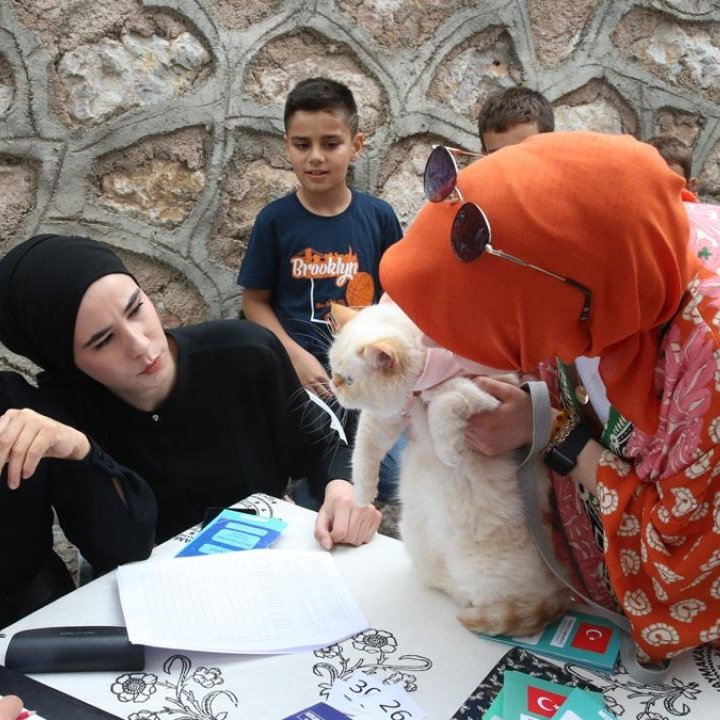 Tokat'ta kedi güzellik yarışması düzenlendi.