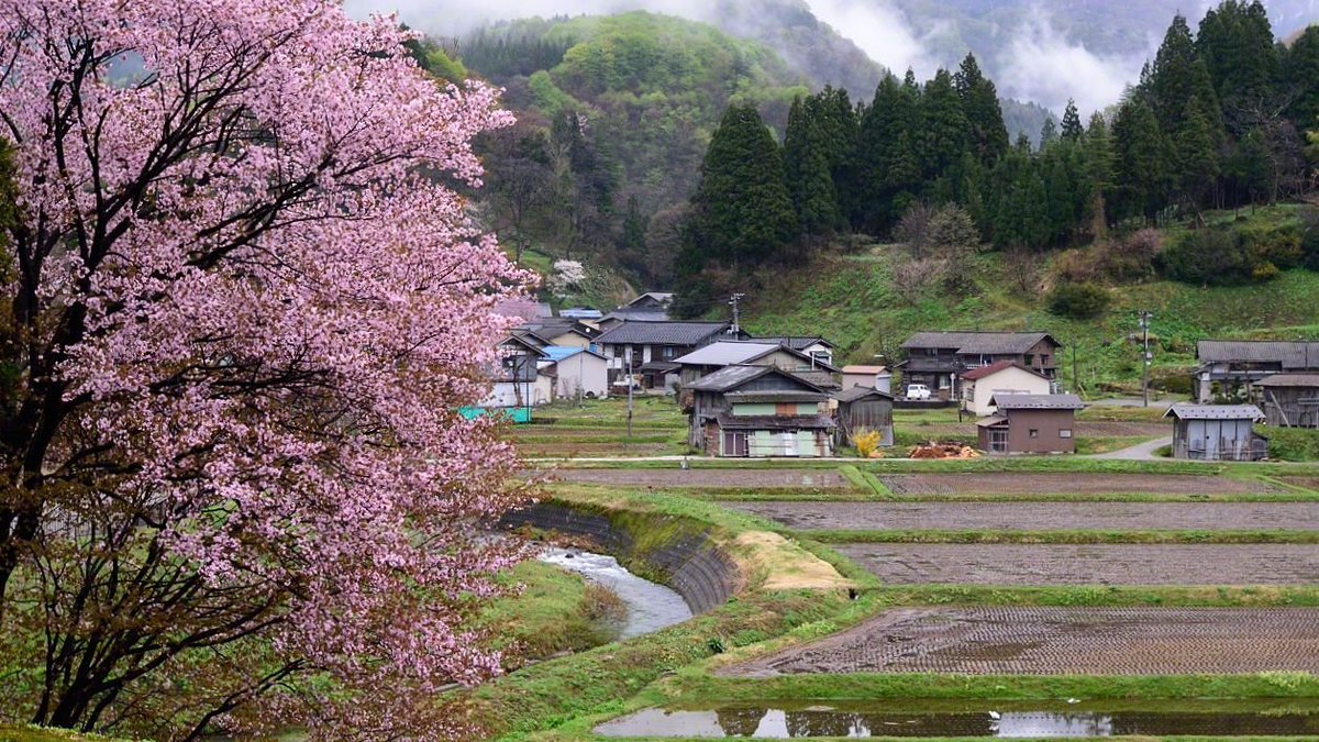 Satoyama (里山), a Japanese term applied to the border zone or area between mountain foothills and arable flat land