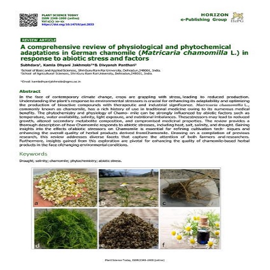 A comprehensive review of physiological and phytochemical adaptations in German chamomile (Matricaria chamomilla L.) in response to abiotic stress and factors - smpl.is/91mt7
