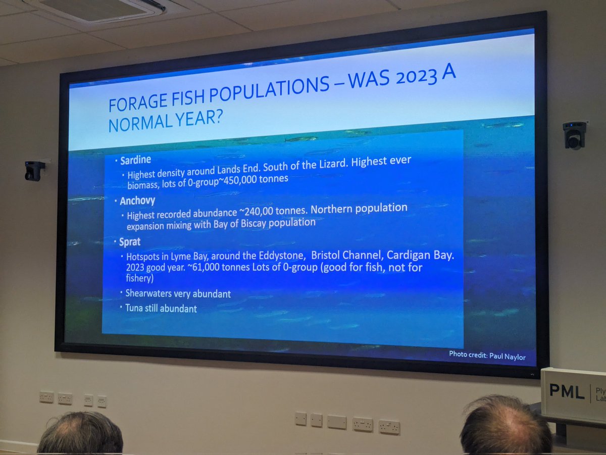 LilianLieber's tweet photo. A conference packed with local insight and long term monitoring data: #SWME southwest marine ecosystem conference! Couldn't think of a better way to learn, interact and connect with other enthusiastic #marine scientists in the southwest. Thanks to all for a fantastic day. 👌 https://t.co/cYJiKobdbO