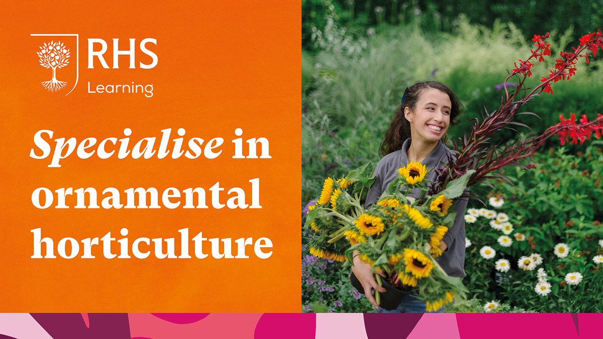 Exciting opportunity for Level 2 qualified horticulturists! 🌱 Are you looking to specialise in Ornamental Horticulture? 🌷 Applications for a @The_RHS Professional Work Placement (PWP) @RHSHydeHall is open! rhs.org.uk/education-lear…