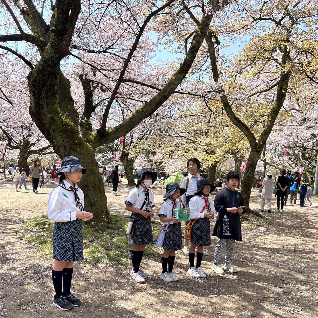 2024年4月14日

緑の募金を行いました🌱
公園の桜が綺麗でした🌸
今年度もいろいろな体験をして、活動を楽しみたいと思います！

We did find-rasing activity.
The cherry blossoms in the park were beautiful.
#ガールスカウト #girlscouts #高岡 #富山 #ガールスカウト日本連盟