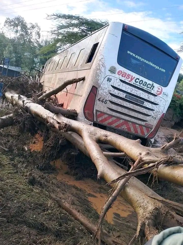 Mai Mahiu Update: -40+ bodies retrieved so far. -Vehicles trapped in the mud. -Efforts underway to retrieve more bodies trapped in the mud. -100+ victims hospitalized in nearby hospitals. -Police managing to clear the roads.