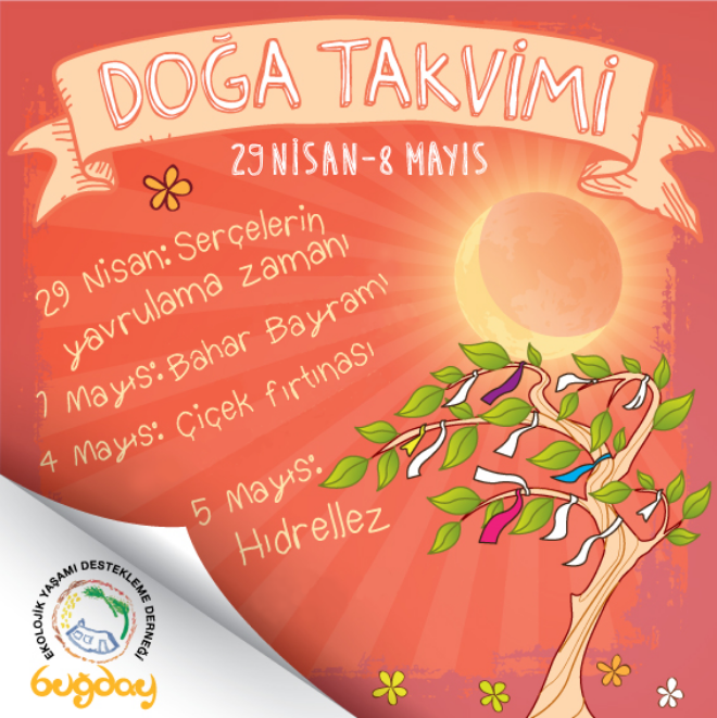 Umudun bayramı geliyor, doğanın bereketi artıyor. 🎋 #BuğdayDerneği #DoğaTakvimi #YaşamDönüşümdür #Mayıs #Bahar