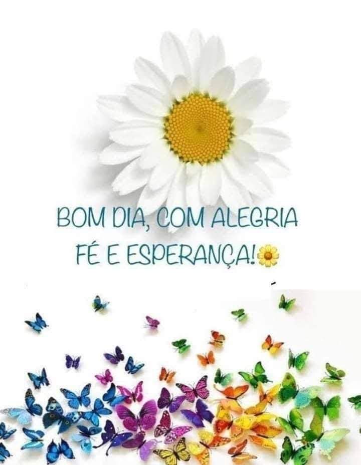 Bom dia galera, feliz semana para vocês com alegria, amor e muita paz.