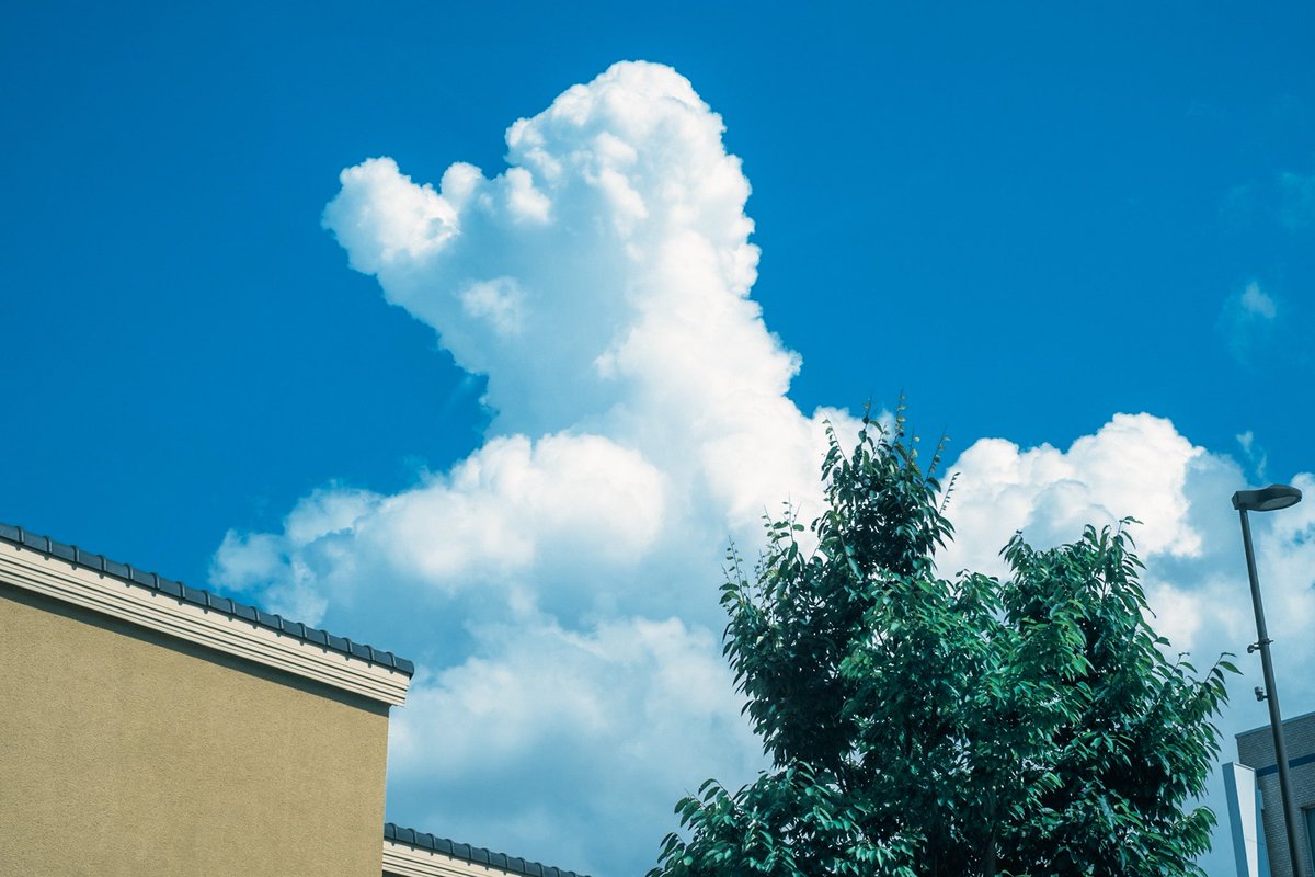 夏の雲