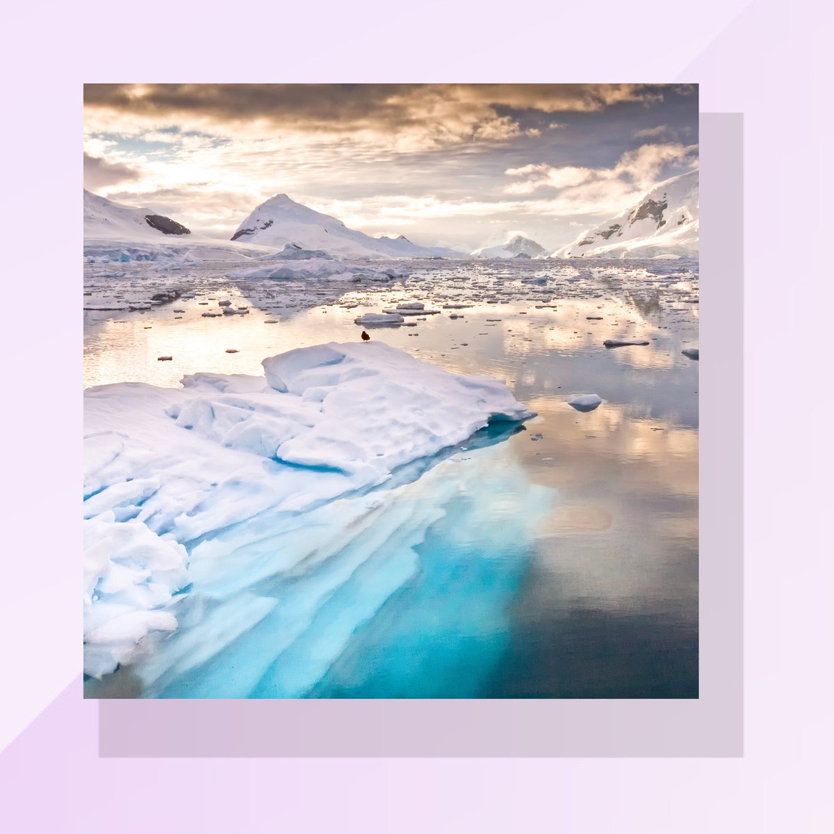 💡 Ever wondered how childhood traits influence our adult learning journey? This article by @Area9Lyceum uncovers the secrets behind this connection, featuring an expedition to Antarctica through the lens of a world-class photographer! ❄️ Read more 👉 ow.ly/tiqw50RoNXS