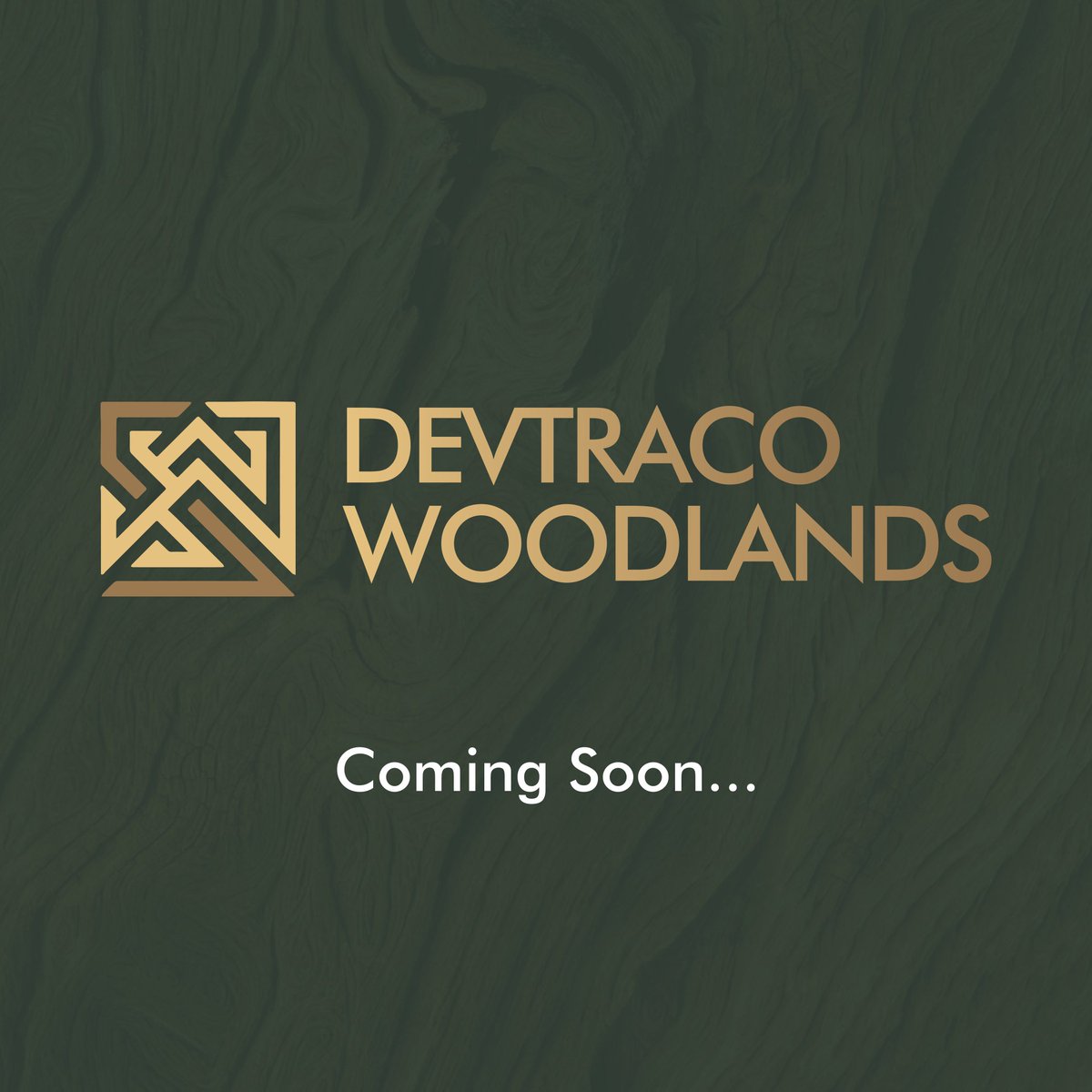 DevtracoPlus's tweet image. Stay tuned.
woodlands.devtracogroup.com