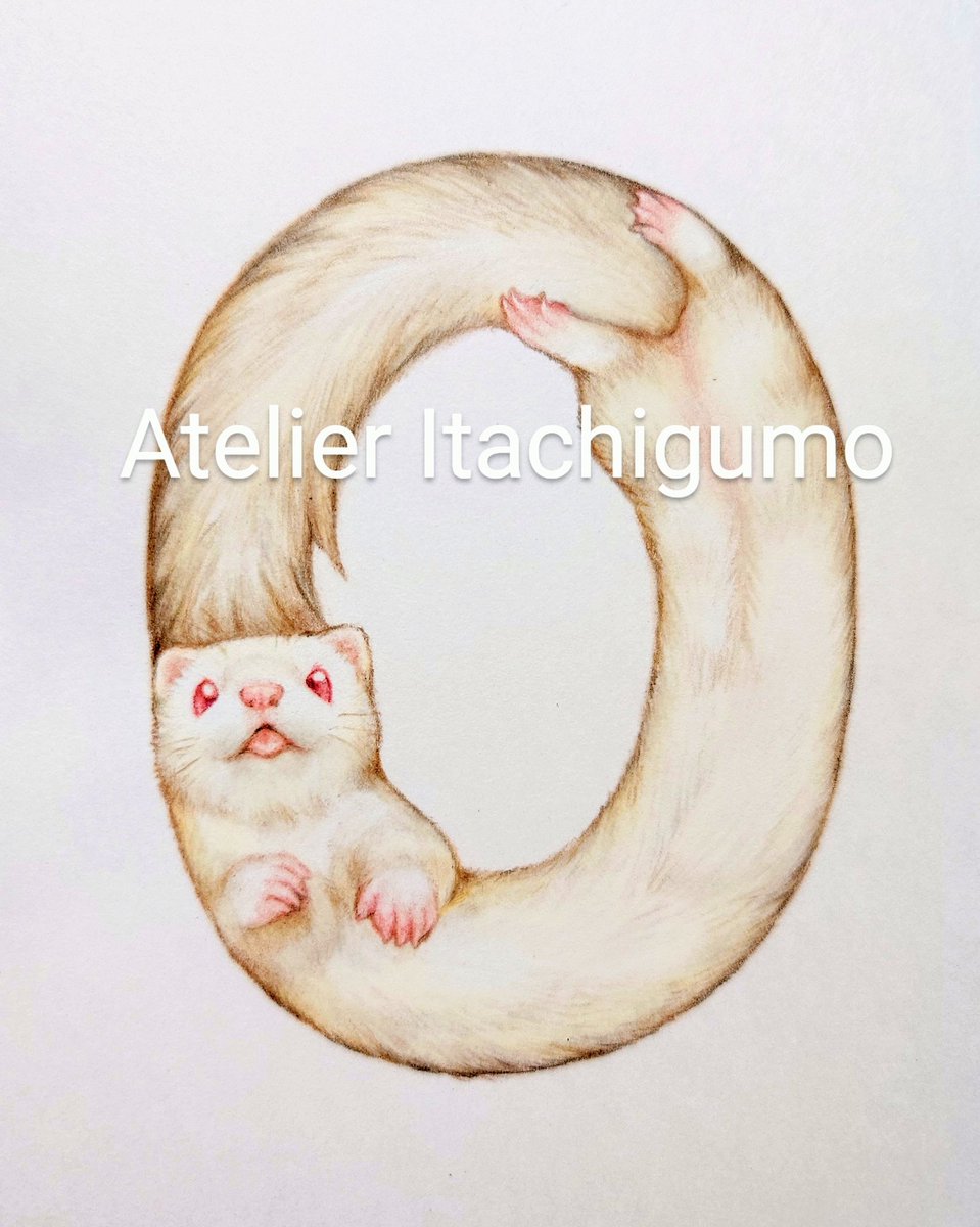 フェレットO

#Ferret #フェレット 
#colorpencil  #色鉛筆