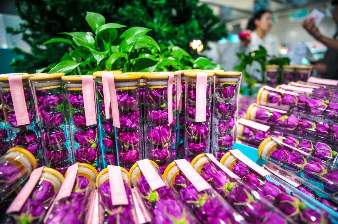 🌹 The 2024 China Rose Products Expo kicked off on April 26 in Pingyin county in Jinan, #Shandong. A slew of cultural events, exhibitions of #rose-derived products, livestreaming sales, and consumption activities will be held to promote Pingyin roses and stimulate consumption.