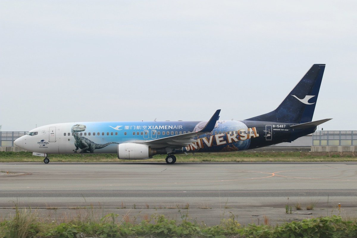 MF835 B-5487 737-85C Xiamen Air Universal Beijing Resort Livery ユニバーサル北京リゾート 1号機 2024.4.29 KIX 20分ほど早着、定刻なら06Rだったかも？ #関西国際空港 #厦門航空