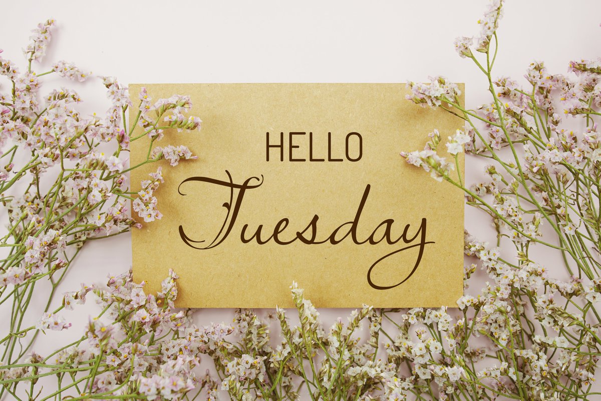 Happy Tuesday! A short week for most of us after the bank holiday. 😉 #InsuranceServicesSurrey #InsuranceServices #Surrey #insurance #insurancecover #insurancequote #insuranceclaims insurancesurrey.co.uk