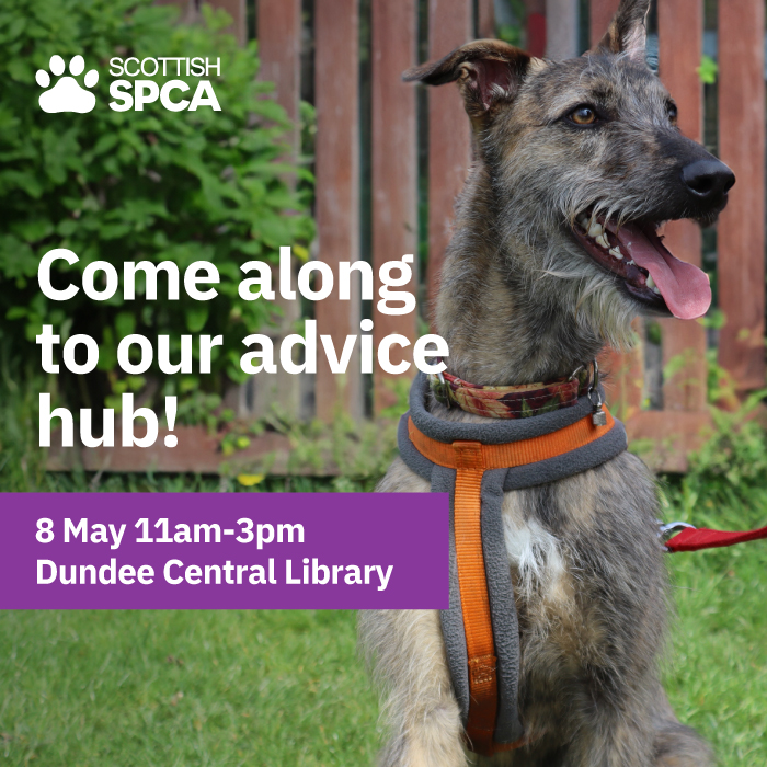 We are delighted to be working in partnership with the Scottish SPCA to make it easier for people to access animal welfare support when they really need it. Pop along to the Scottish SPCA advice hub at Central Library on Wednesday 8th May between 11am and 3pm to find out more.