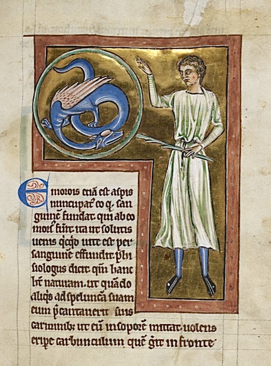 Behold, it's #ManuscriptMonday ! 

BL Royal MS 12 C XIX; Bestiary; c 1200-c 1210 CE; England; f.67r @BLMedieval