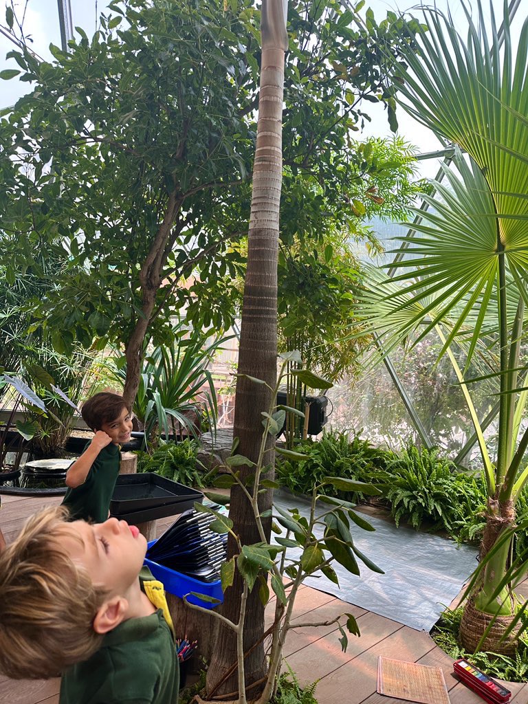 Foundation Stage 1 | The Arbor School tweet media