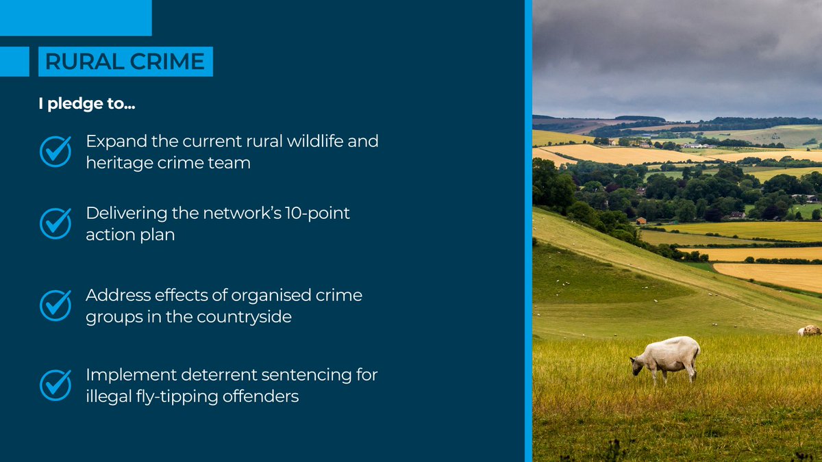If re-elected as Suffolk’s PCC, I will do my best to tackle rural crime.

I'll work closely with law enforcement, communities, and experts to implement effective strategies. By ensuring swift firearms licensing and promoting accountability, we'll keep our rural areas safe.