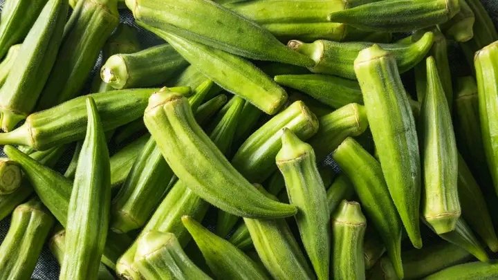 RECOMMENDED OKRA VARIETIES/SPECIES 1. Emerald Variety Emerald is a spineless variety of okra having a semi-cut leaf and a smooth round pod shape. It requires about 58 to 60 days to mature. Emerald variety is good for canning or processing. 2. Louisiana Green Velvet Variety This…