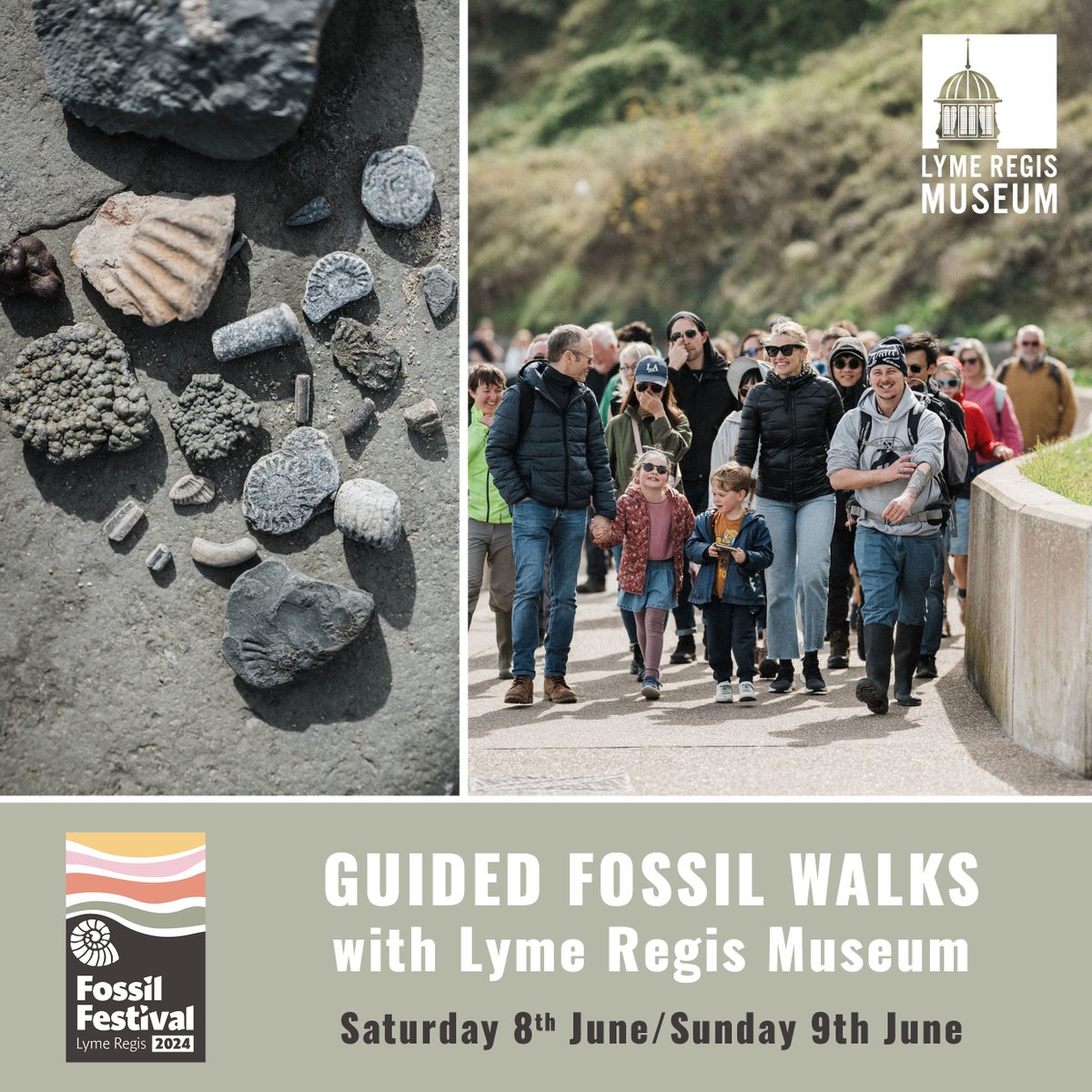 Fossil Festival - GUIDED FOSSIL WALKS with Lyme Regis Museum. Go fossil hunting on Lyme’s famous East beach and Black Ven, learn all about the geology of the Jurassic Coast and discover your own fossils to take home! Walks last between 2.5-3hrs. Book via the link in our bio.