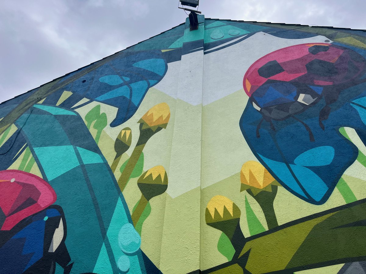 A little sneak preview of the #biodiversity themed mural presented by STREET ART INK in Stonyford, Kilkenny by artist Danleo. Project funded by @kilkennycoco 
Final photos coming soon
#communityart
#CreativeCommunity
#ArtisticExpression