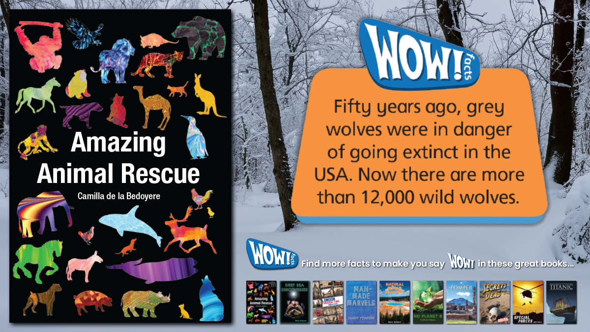 Accessible & fun #HiLo #NonFictionBooks to make your readers say WOW! From natural world wonders to man-made marvels, WOW! Facts Grey is packed full of fascinating facts & fantastic photography. Reading Age 8–9 • Interest Age 9–14 #SchoolLibrarian badgerlearning.co.uk/wow-facts-grey…