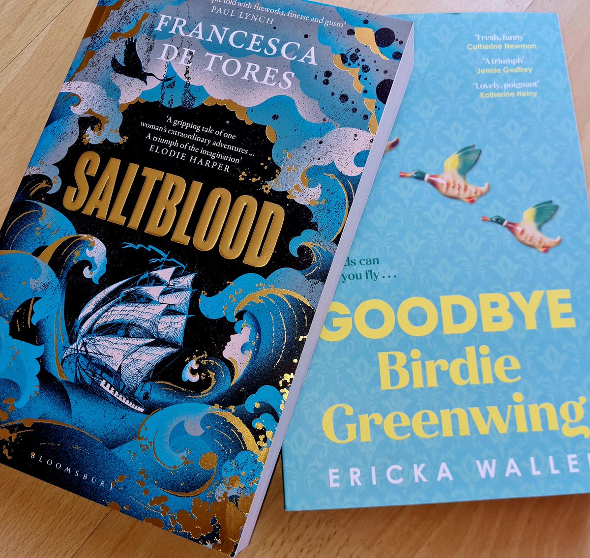 More book beauties! 💙📘#Saltblood #FrancescaDeTorres #GoodbyeBirdieGreenwing #ErickaWaller #BookTwitter