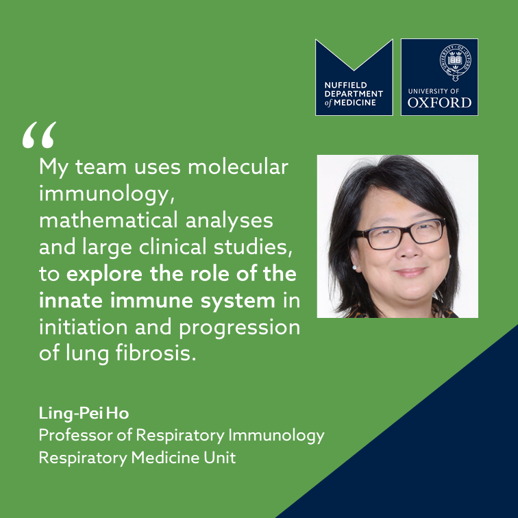 With irreversible loss of lung function, #PulmonaryFibrosis is a devastating lung disease. That is why it is important to explore the innate #ImmuneSystem for a better understanding of this disease 🫁 #WorldImmunizationWeek #LungFibrosis @Respiratorymedi