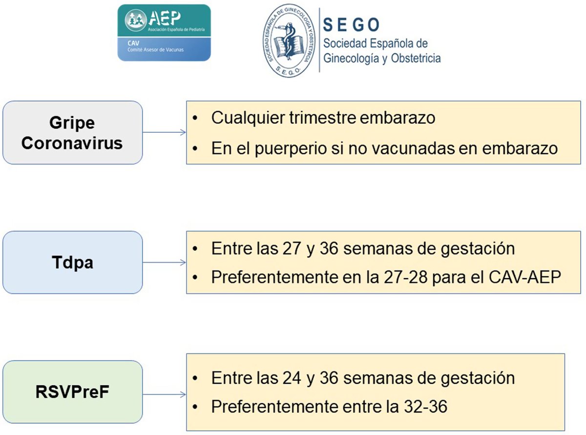 Vacunación en el embarazo. Documento de consenso del @CAV-AEP y la @SociedadSEGO. Autor: Javier Álvarez Aldeán, entre otros Nuevo Artículo de la @aepediatria de #AnalesDePediatria. Accede al artículo completo en el link: analesdepediatria.org/es-vacunacion-…