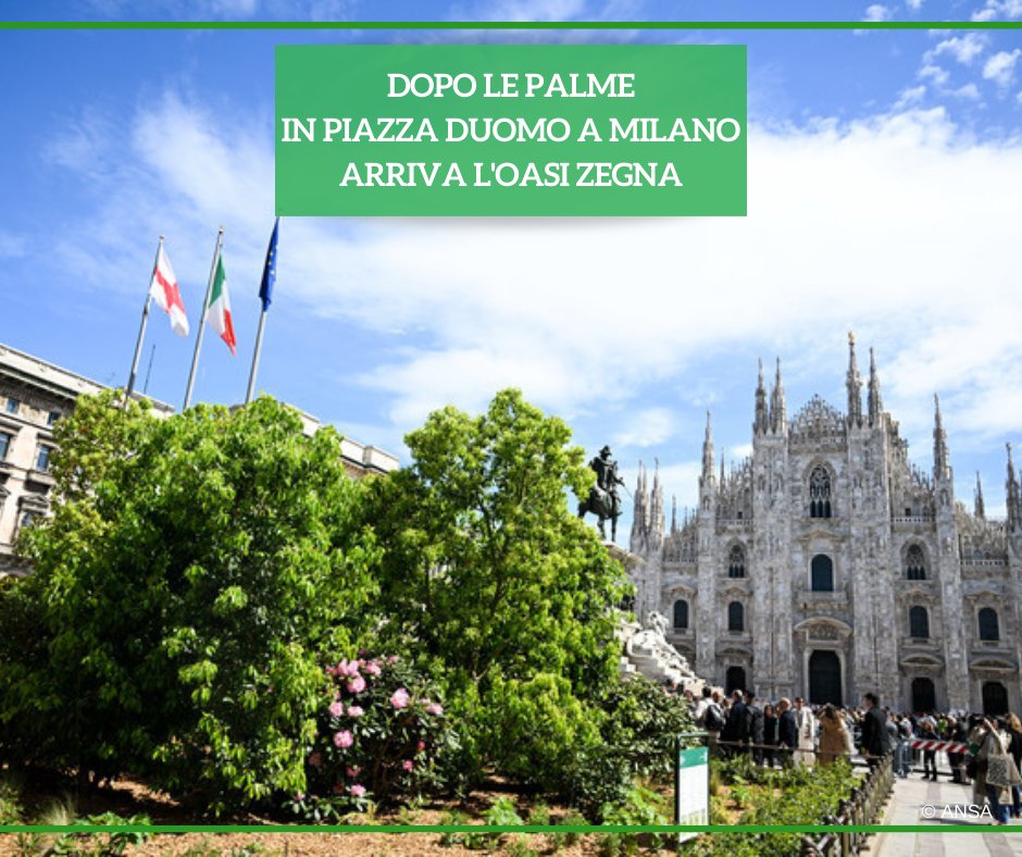 Piazza del Duomo a Milano dice addio alle palme e ai banani e accoglie la nuova Oasi Zegna con rododendri e Philadelphus nel segno della stagionalità e della biodiversità. #ANSALifestyle ➡️ bit.ly/49PAbJV