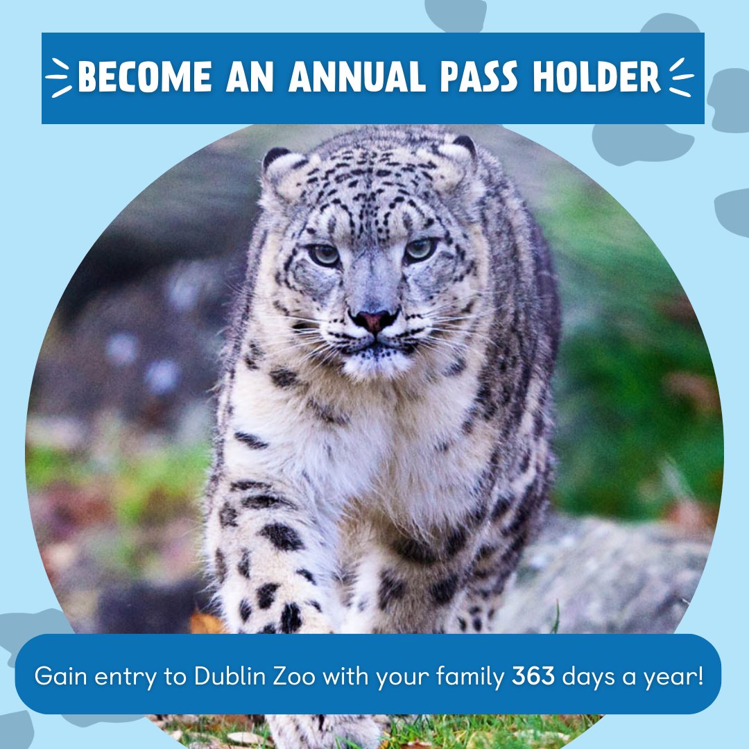 Embark on endless family adventures with a Dublin Zoo Annual Pass 🐅 🦒 🦍 For the same price as x3 Zoo visits, you’ll gain entry to Dublin Zoo with your family 363 days a year, plus so many more amazing benefits. Find out more: dublinzoo.ie/annual-passes/