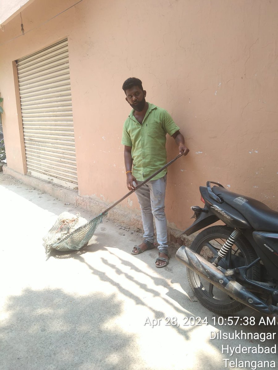 CrzOfficer's tweet photo. @sudhakarudumula Sir, the complaint Attended immediately. The GHMC Team visited the victim house and enquired the health.The dogs catching squad of Charminar zone  has caught 7 dogs from the area Awareness will be created among children about measures to be taken to avoid such issues in  future . https://t.co/KROmDSSJHw