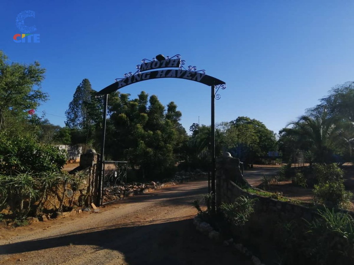 #CITEYouthNetwork:The stench of decay and the sight of discarded trash mar the otherwise peaceful setting of an old age home in Esigodini at King Haven. The area surrounding the home has become a dumping ground for hazardous waste, with heaps of garbage piling up on the streets…