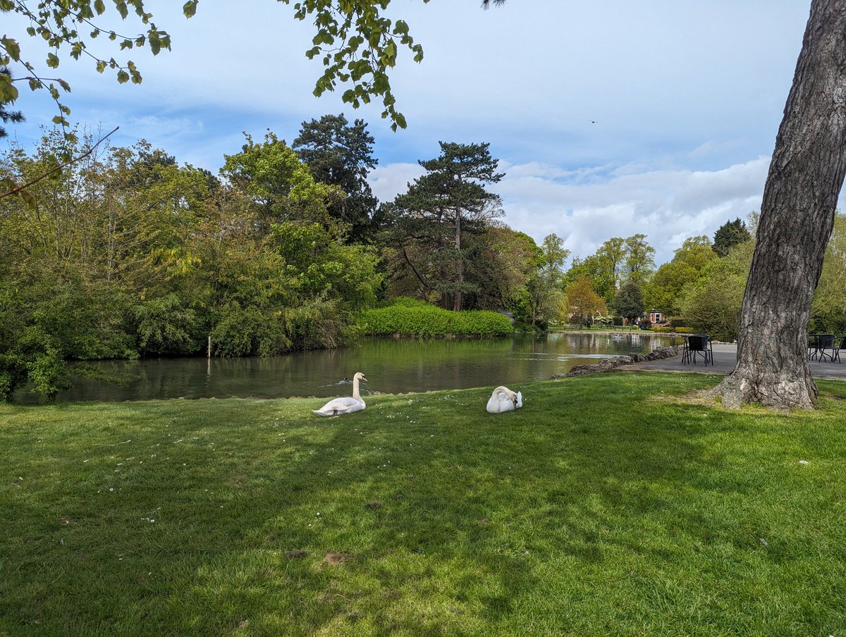 Visit to the park