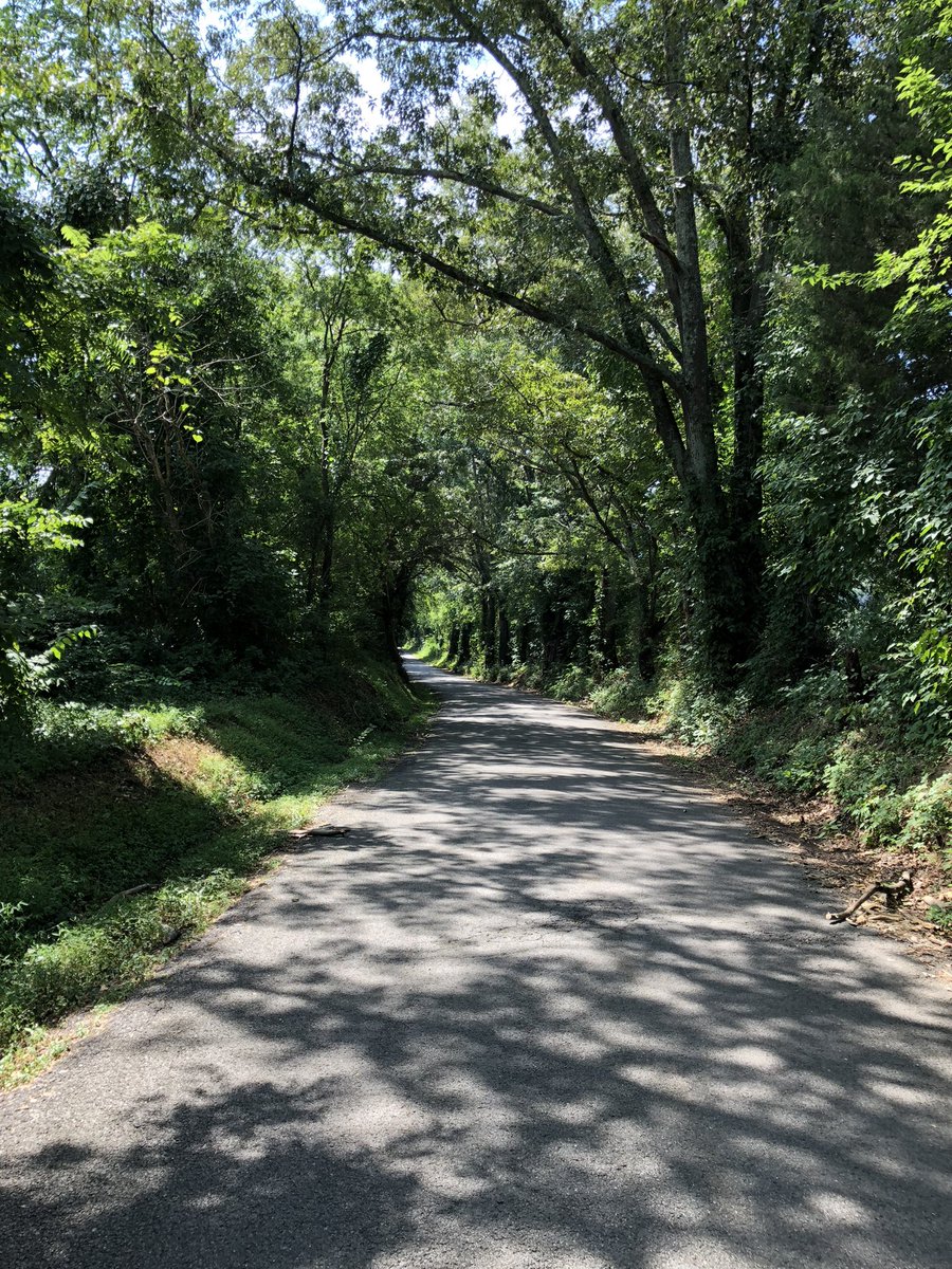 Old Nails Creek Road, Wildwood area near Maryville, TN 🇺🇸🫡