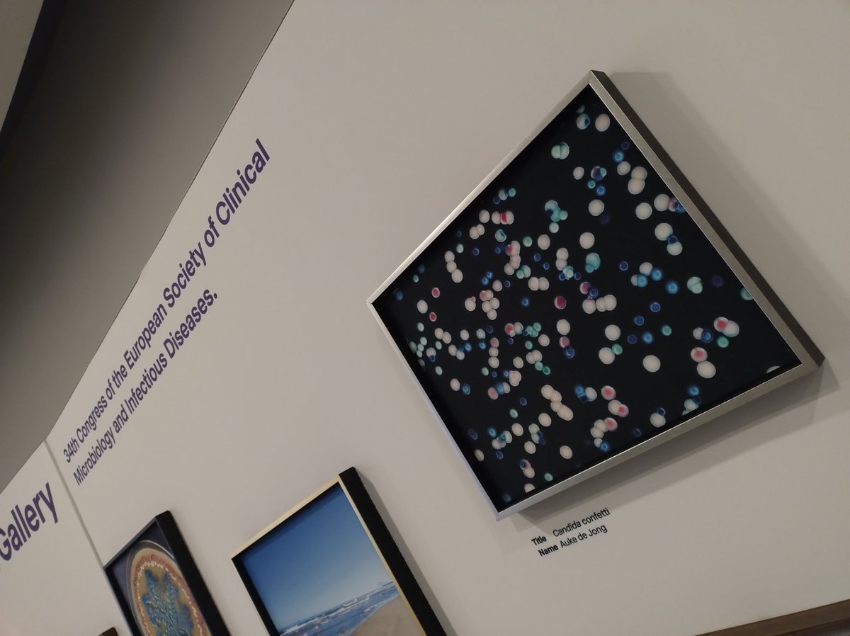 Nice to see Candida Confetti, the cover of @JongAukede his thesis, at the @ESCMID Global 2024 corridor. @_Westerdijk_ @_knaw @EPB_IBED_UvA @IBED_UvA #ECCMID2024 See hdl.handle.net/11245.1/ea1869…