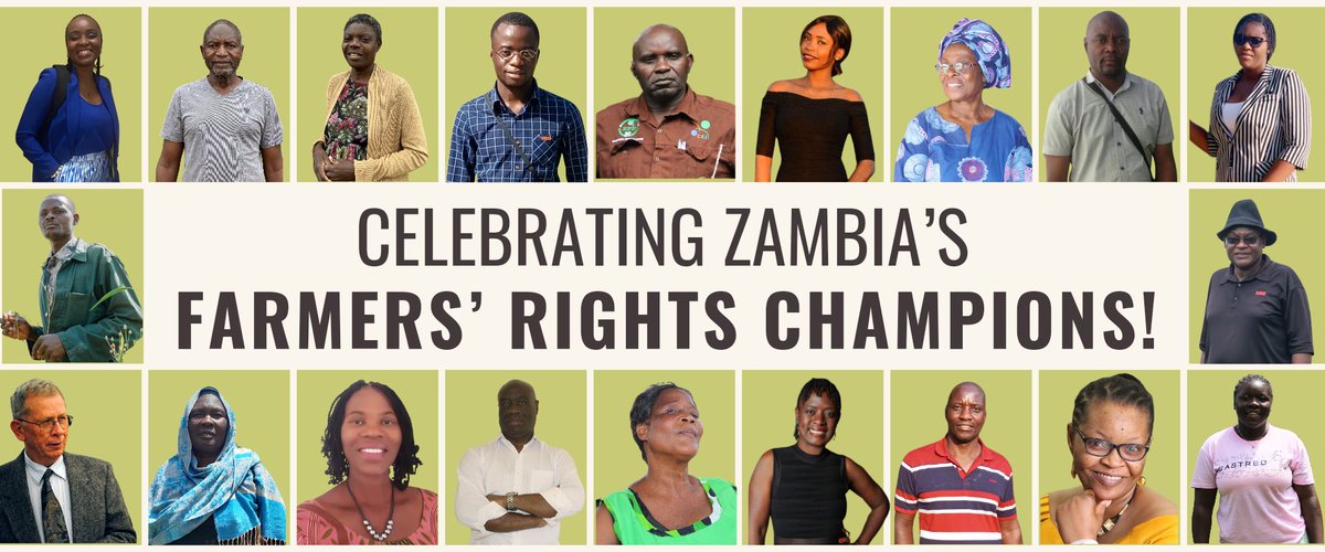 Did you know? Proposed changes to Zambia's seed laws could prioritise commercial seed varieties over traditional farmer practices, risking the loss of indigenous knowledge and biodiversity. Meet the #FarmersRightsChampions advocating for inclusive and equitable seed policies.