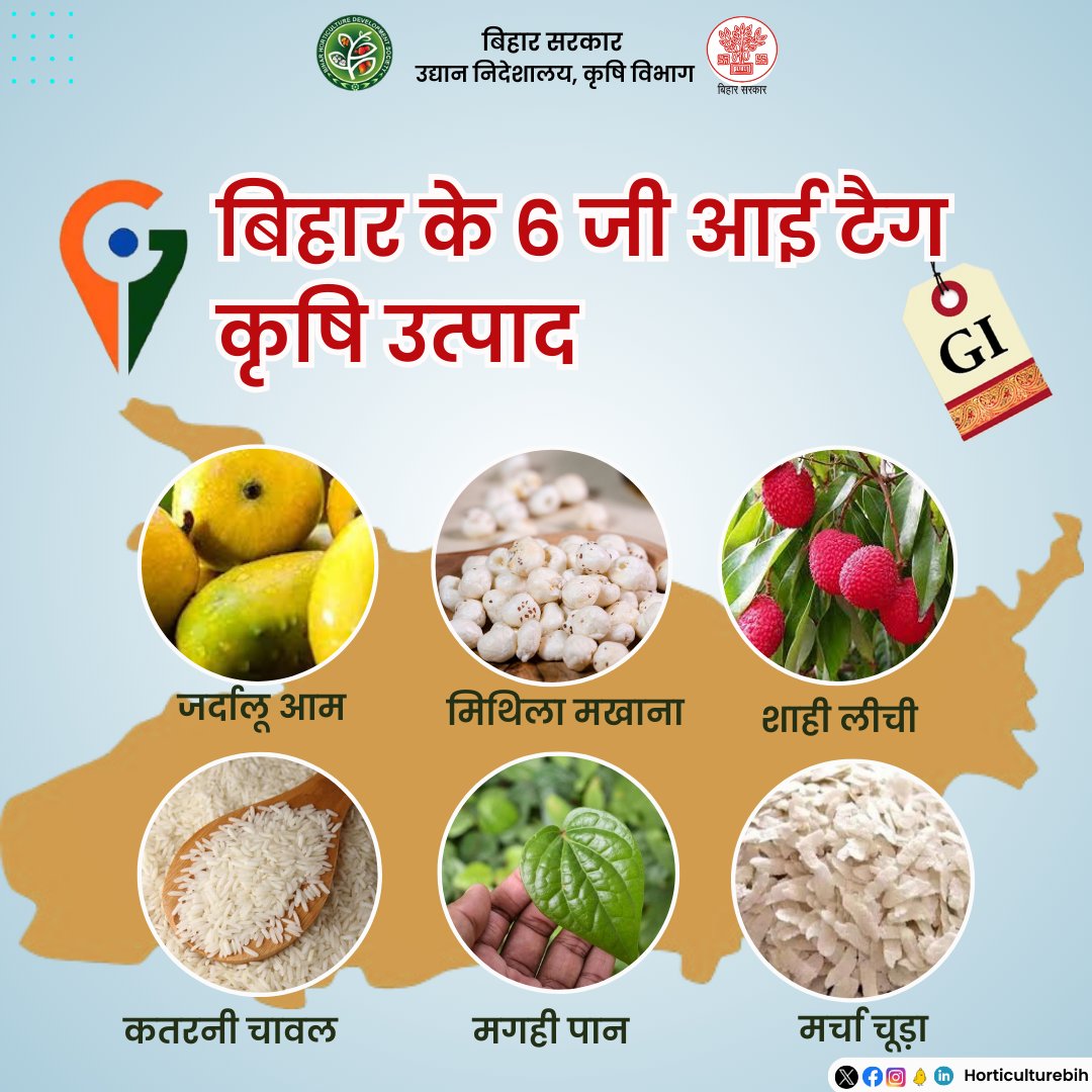 बिहार के 6 जी आई टैग कृषि उत्पाद |
@Agribih
@mangalpandeybjp
@SAgarwal_IAS
@abhitwittt
@AgriGoI
#GITag #agriculture #horticulture #Bihar