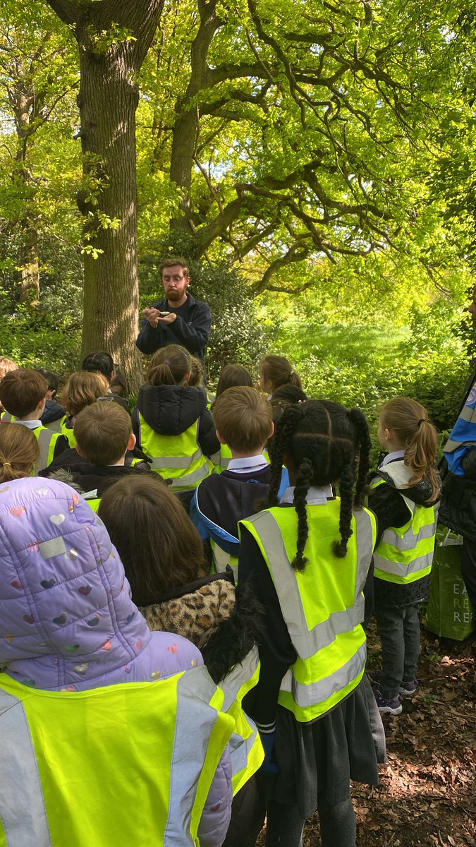 🌿🔍 Year 2 Angelfish class are having a fascinating time at Beckenham Place Park today! Exploring the tiny worlds of microhabitats and discovering the living things that call them home 🐜🐞🍃. Hands-on science in action! 🧪👩‍🔬